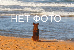 Общие новости Андалусии