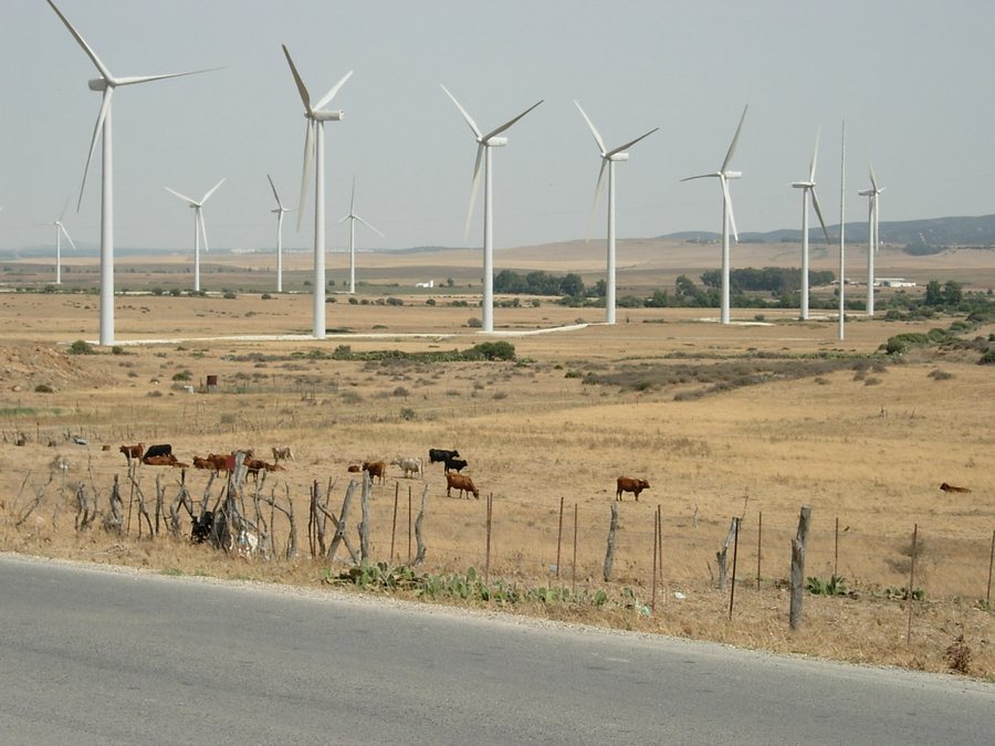 File:Molinos de Viento en Facinas (Cádiz, España) 01.JPG