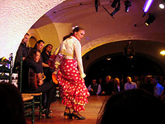 Фламенко, Испания
